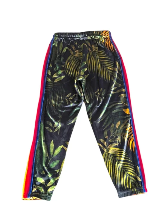 Aviator Nation Tiger Jungle Velvet Track Suit Rainbow Stripe Top XL Pant L F390 - Picture 9 of 14
